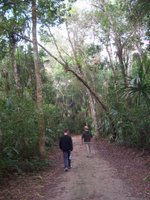 Il faut marcher plusieurs minutes dans la jungle dense tant le site de Tikal est gigantesque. Et y'a personne!