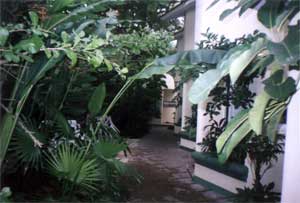 Photos de la cours de la villa à Cozumel