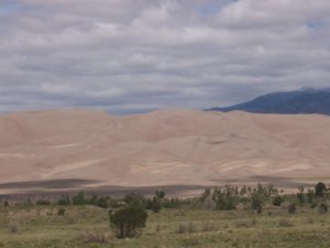 Les immenses dunes