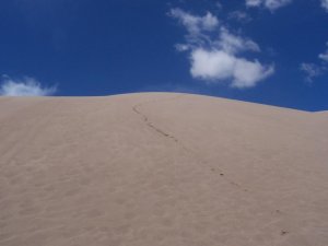 Les traces dans le sable