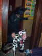 Batman et son ami la vache (en fait un allemand et un irlandais plut&ocirc;t saouls)