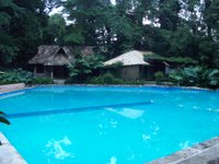 La piscine à Maya Bell