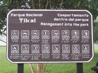 Quoi ne pas faire à Tikal