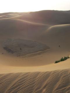 Parfois, les dunes atteignent 50 mètres!