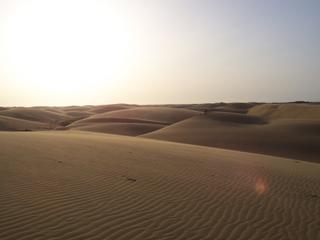 Les dunes font partie du plus gros parque nacional de l'état du Falcon
