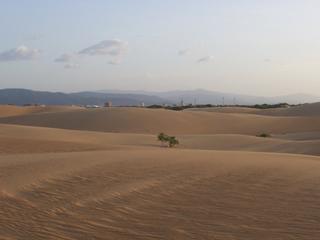 Les dunes commencent aux limites de la ville au loin